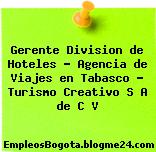 Gerente Division de Hoteles – Agencia de Viajes en Tabasco – Turismo Creativo S A de C V