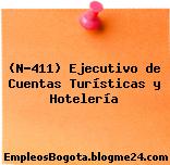 (N-411) Ejecutivo de Cuentas Turísticas y Hotelería