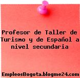 Profesor de Taller de Turismo y de Español a nivel secundaria