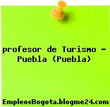 profesor de Turismo – Puebla (Puebla)