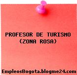 PROFESOR DE TURISMO (ZONA ROSA)