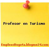 Profesor en Turismo