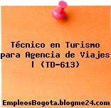 Técnico en Turismo para Agencia de Viajes | (TD-613)
