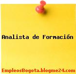 Analista de Formación