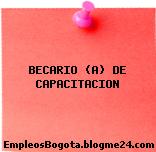BECARIO (A) DE CAPACITACION