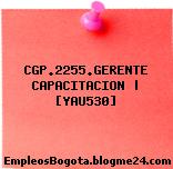CGP.2255.GERENTE CAPACITACION | [YAU530]