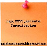 cgp.2255.gerente Capacitacion