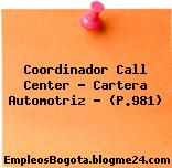 Coordinador Call Center – Cartera Automotriz – (P.981)