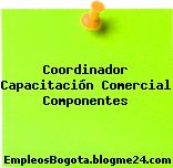 Coordinador Capacitación Comercial Componentes