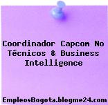 Coordinador Capcom No Técnicos & Business Intelligence