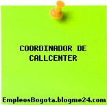 COORDINADOR DE CALLCENTER