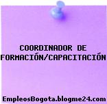 COORDINADOR DE FORMACIÓN/CAPACITACIÓN