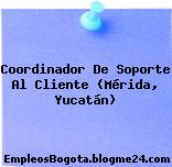 Coordinador De Soporte Al Cliente (Mérida, Yucatán)
