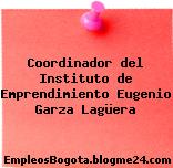 Coordinador del Instituto de Emprendimiento Eugenio Garza Lagüera