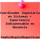Coordinador Ingeniaría en Sistemas – Experiencia Indispensable en Docencia