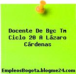 Docente De Bgc Tm Ciclo 20 A Lázaro Cárdenas