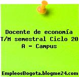 Docente de economía T/M semestral Ciclo 20 A – Campus