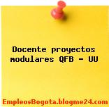 Docente proyectos modulares QFB – UU