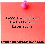 (E-995) – Profesor Bachillerato Literatura