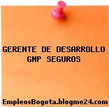 GERENTE DE DESARROLLO GNP SEGUROS