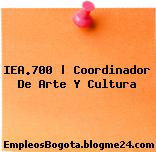 IEA.700 | Coordinador De Arte Y Cultura