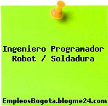 Ingeniero Programador Robot / Soldadura