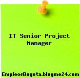 IT Senior Project Manager