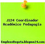 J124 Coordinador Académico Pedagogía