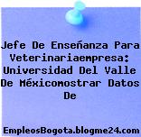Jefe De Enseñanza Para Veterinariaempresa: Universidad Del Valle De Méxicomostrar Datos De