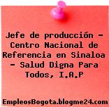 Jefe de producción – Centro Nacional de Referencia en Sinaloa – Salud Digna Para Todos, I.A.P