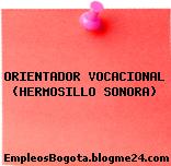 ORIENTADOR VOCACIONAL (HERMOSILLO SONORA)