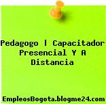 Pedagogo | Capacitador Presencial Y A Distancia