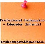 Profesional Pedagogico – Educador Infantil