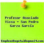 Profesor Asociado Vicsa – San Pedro Garza García