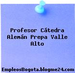 Profesor Cátedra Alemán Prepa Valle Alto