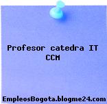 Profesor catedra IT CCM