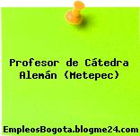 Profesor de Cátedra Alemán (Metepec)