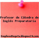 Profesor de Cátedra de Inglés Preparatoria