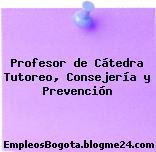 Profesor de Cátedra Tutoreo, Consejería y Prevención