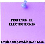 PROFESOR DE ELECTROTECNIA