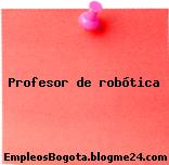 Profesor de robótica