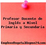 Profesor Docente de Inglés a Nivel Primaria y Secundaria