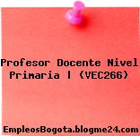 Profesor Docente Nivel Primaria | (VEC266)