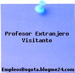 Profesor Extranjero Visitante