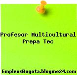 Profesor Multicultural Prepa Tec