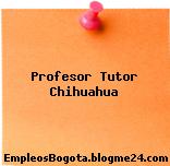 Profesor Tutor Chihuahua