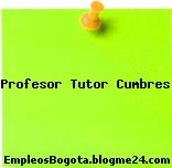 Profesor Tutor Cumbres