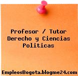 Profesor / Tutor Derecho y Ciencias Politicas