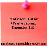 Profesor Tutor (Profesional Ingenieria)