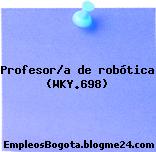 Profesor/a de robótica (WKY.698)